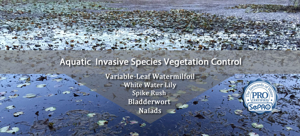 Aquatic-Invasive
