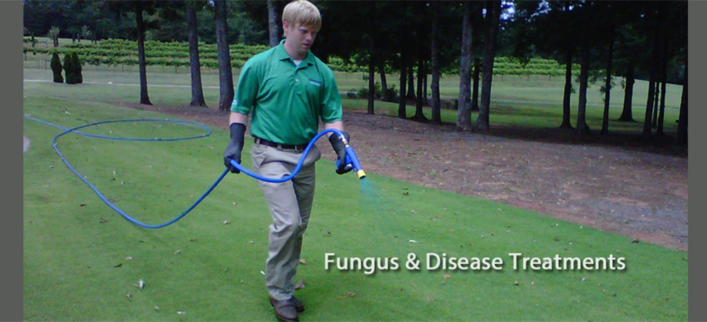 Turf-Management